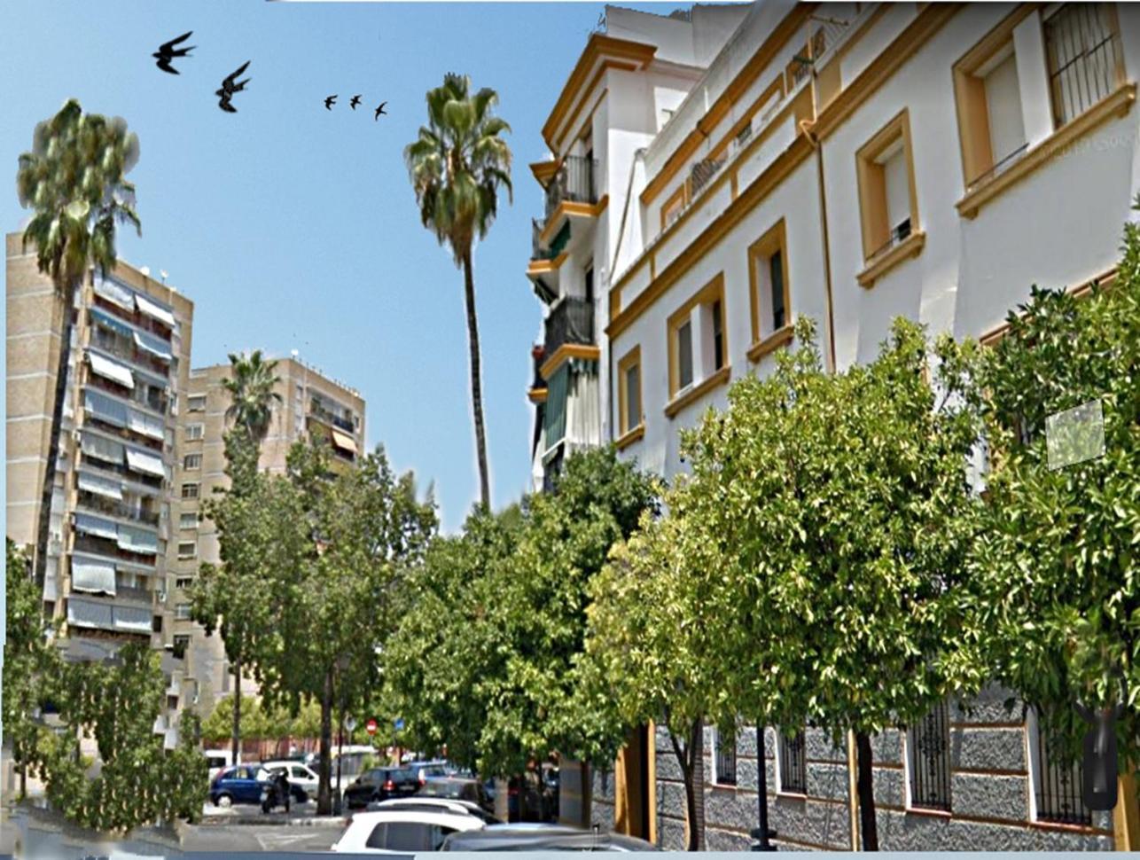 Apartamento San Juan De Dios Sevilha Exterior foto